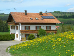 Bauernhofurlaub Hefele in Hopferau