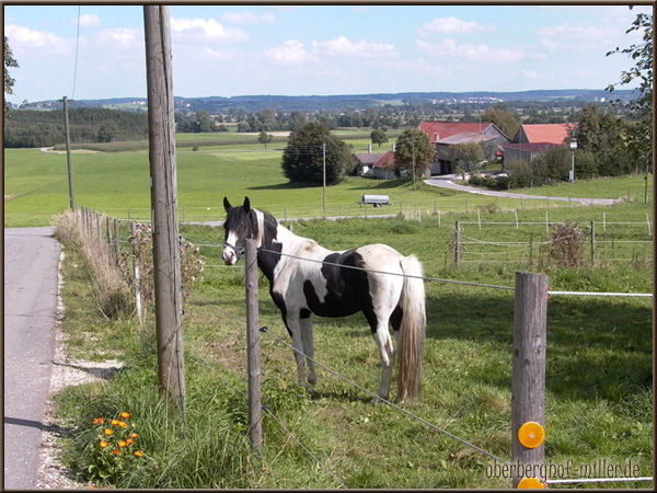 Reiterferien in Schwaben