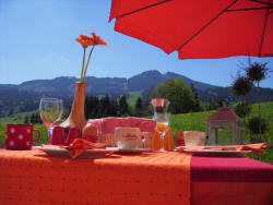 Hotel Nesselwanger Hof - Blick von der Terrasse