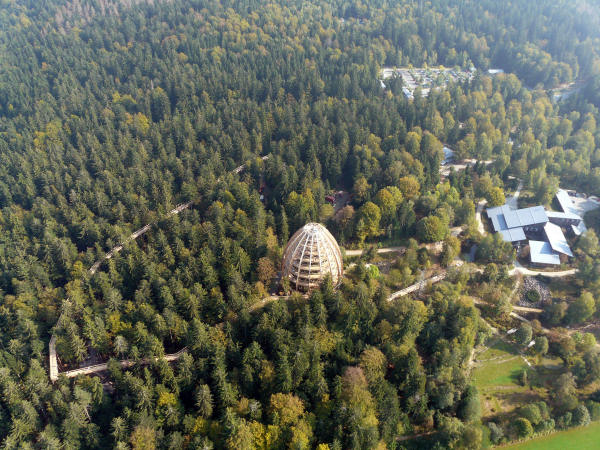 Baumwipfelpfad Bayerischer Wald