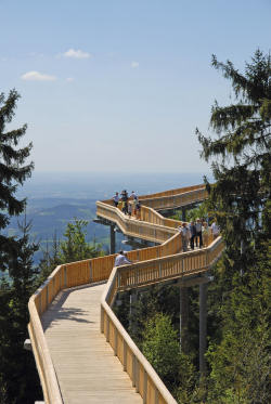 Waldwipfelweg Bayerischer Wald