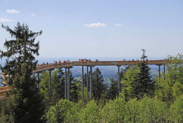 Waldwipfelweg Bayerischer Wald