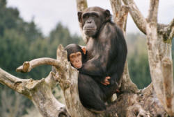 Walter Zoo Bodensee