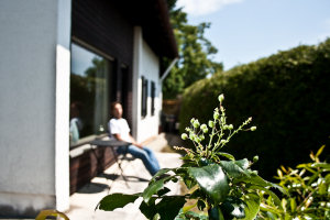 Ferienhaus Bernau - Terrasse