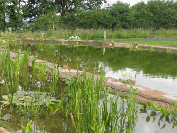 Naturbadesee