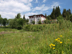 Hotel am Notschreipass Todtnau