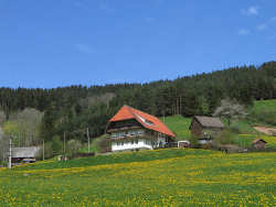 Bauernhofurlaub Tennenbronn