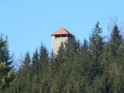 Burgruine Altnussberg