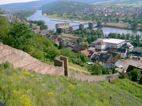 Blick von der Clingenburg